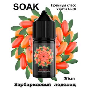 Жидкость SOAK L Salt - Barberry 30мл (20mg) (Premium)